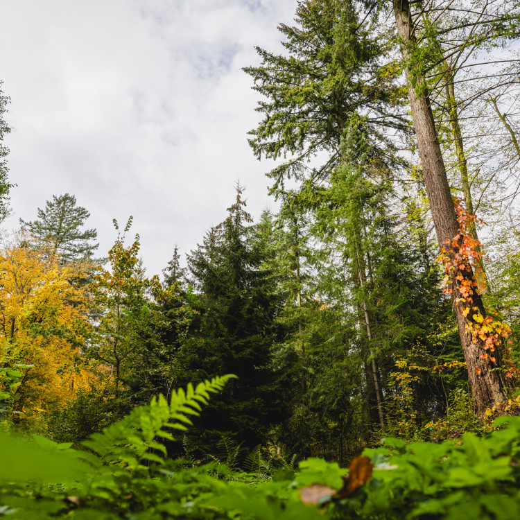 Barevný podzim v Arboretu Křtiny: den otevřených dveří
