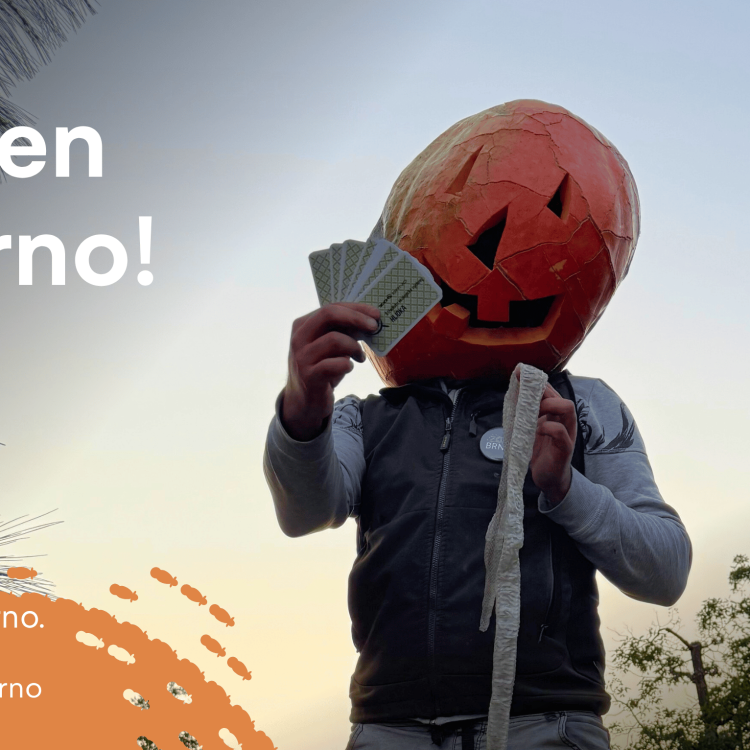 Halloween v Zoo Brno