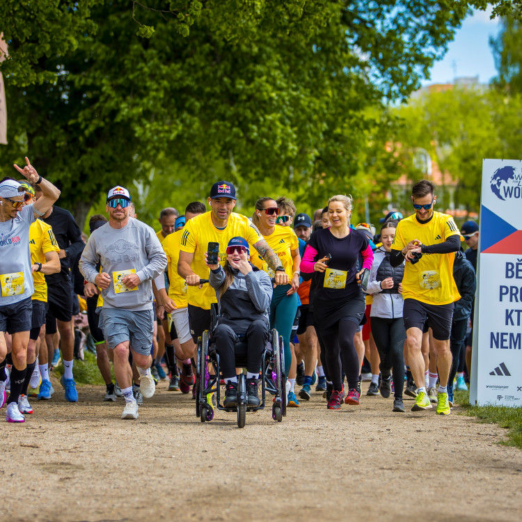 Wings for Life World Run 