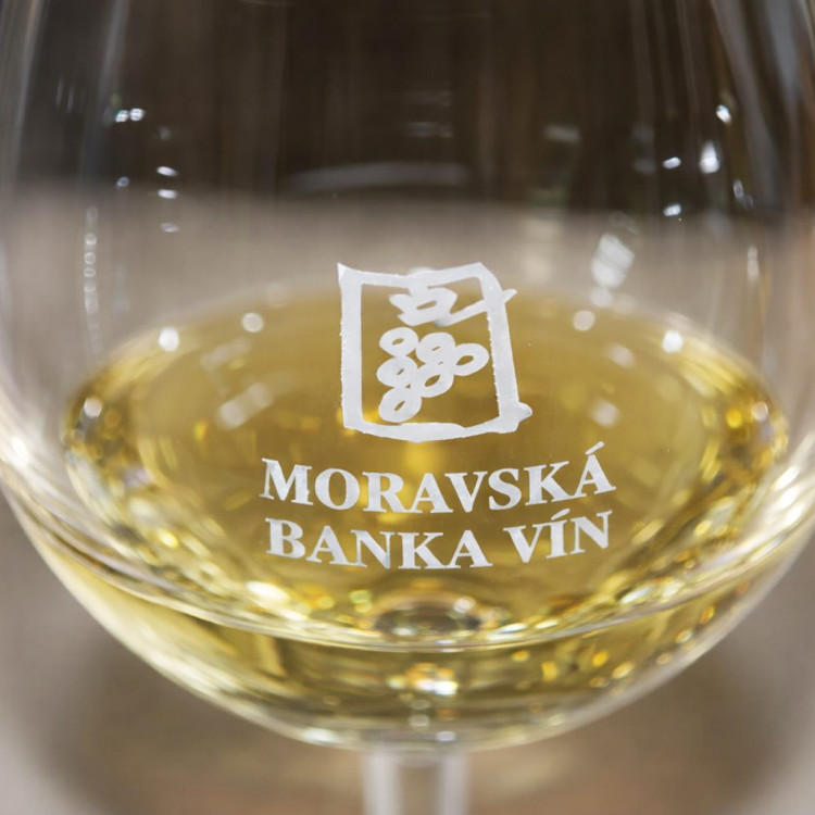Brno – řízená degustace vín – Vinařství Nepraš & Co., Pavlov