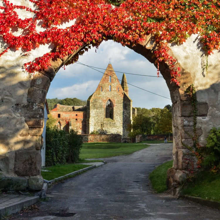 Výlet do Dolních Kounic: Rosa Coeli a vinné sklepy