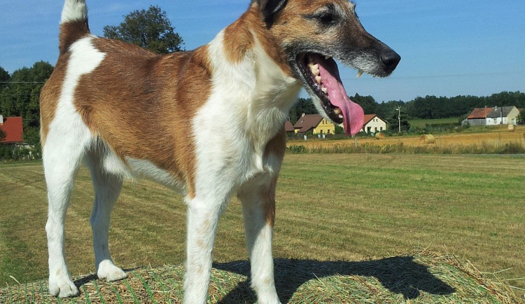 S Brixem v nejlepším životním období