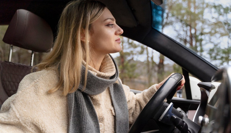 Zápisník starého muže: Řidička