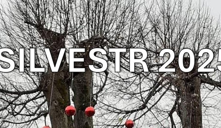 Silvestr, už tu máme zase Silvestr… a co s ním?