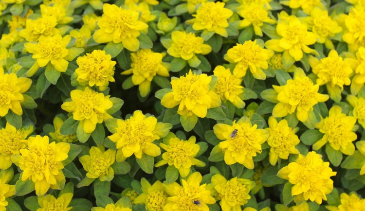 Když tě duben vyvede aprílem, aneb důvěřuj, ale prověřuj