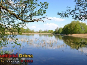 Voda se v Brněnské přehradě zhoršila, koupání je však bez obav
