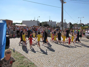 Sokolové ze Židlochovic a okolí