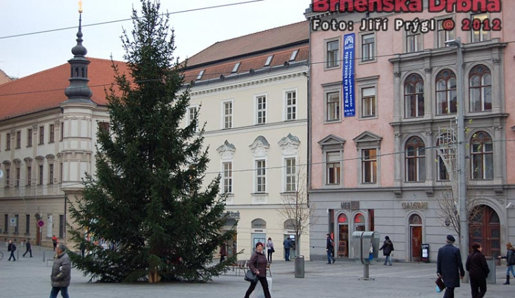 Náměstí Svobody už vévodí vánoční strom