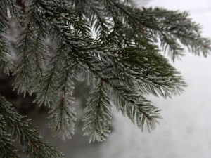Meteorologové slibují Vánoce na sněhu