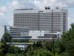 Nemocnice v Brně zatím návštěvy kvůli chřipce neomezily