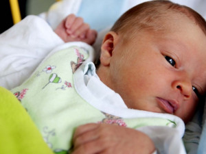 Trend poklesu porodnosti se na jihu Moravy loni zastavil