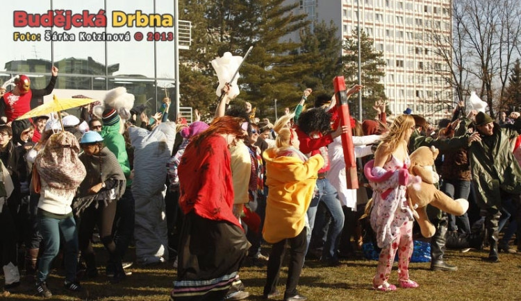 Harlem Shake ovládl Jihočeskou univerzitu