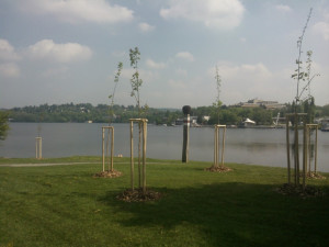 Brněnská přehrada Rakovec