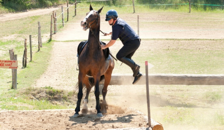 Festival Brno – město uprostřed Evropy startuje