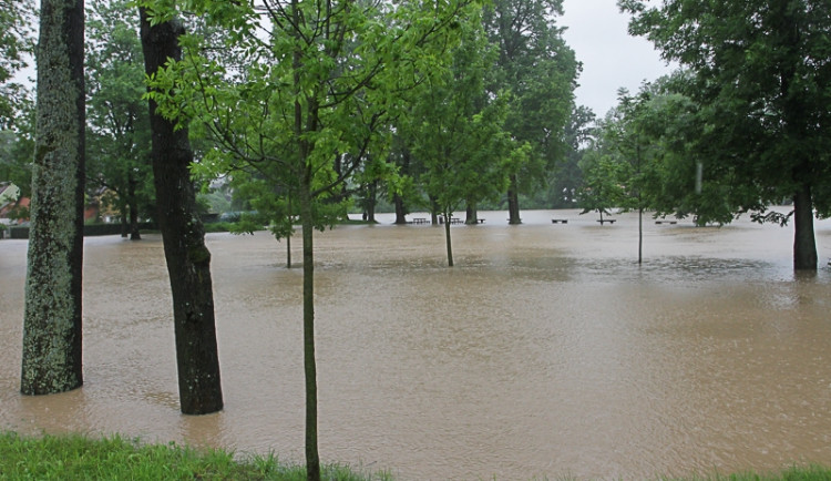 Ilustrační fotografie