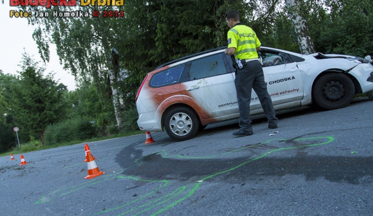 V Šindlových Dvorech zemřel po srážce s autem kůň