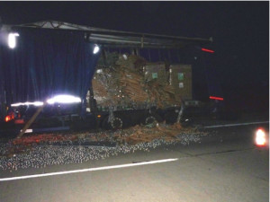 Foto: HZS jihomoravského kraje