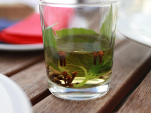 Odpuzovač vos příliš nefungoval, ale snaha personálu se cení...