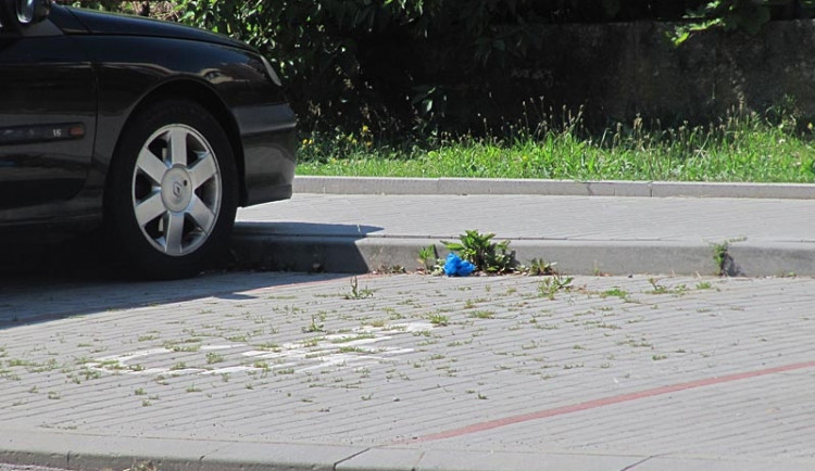 Místo bomby našli pyrotechnici vyhozenou baterii