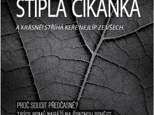 Kampaň mypracujeme.cz, foto: mypracujeme.cz