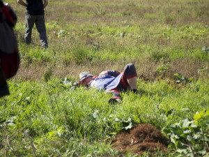 Znaveni vínem můžete spočinout prakticky kdekoli