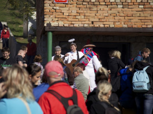 Z Pochodu slováckými vinohrady 2012, foto: Brněnská drbna