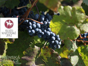 Produkce Svatomartinského vína znovu překročí hranici 2 mil