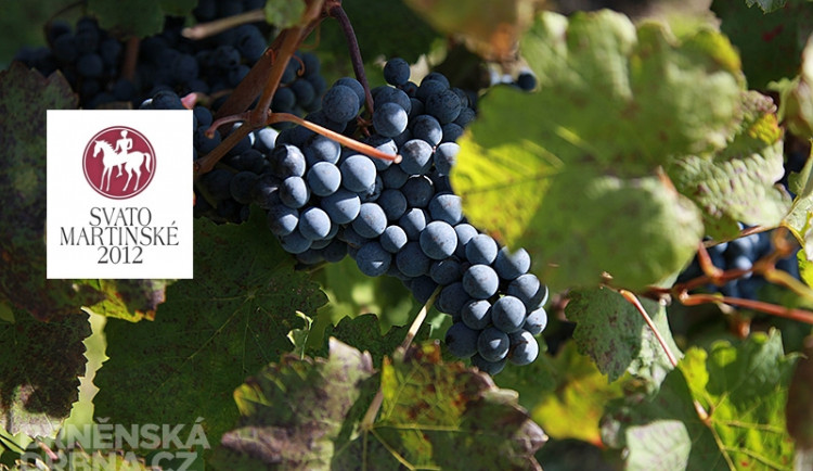 Ilustrační foto, foto: Brněnská Drbna