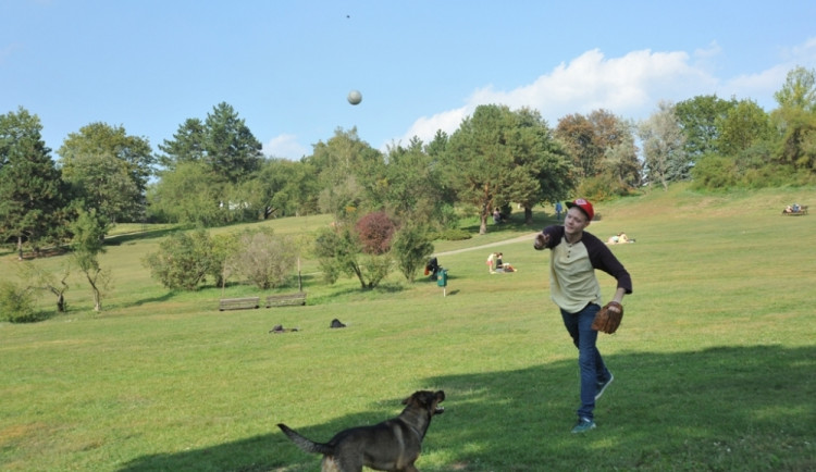 Ilustrační foto, foto: Jiří Prýgl