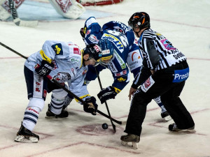 Liberec - Kometa, www.apikfoto.cz