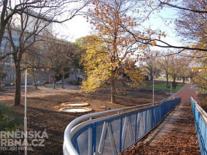 Rekonstrukce parku Koliště skončila. Přibyla zeleň i cyklopruh.