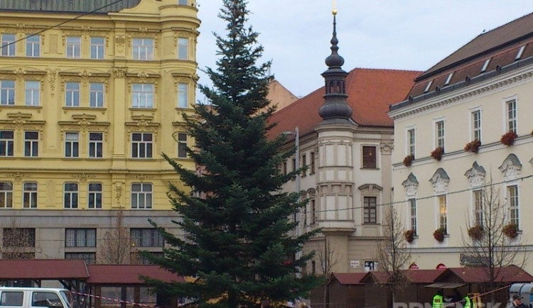 Vánoční strom na náměstí Svobody, foto: Brněnská Drbna, David Zouhar