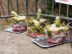 Dorty pro roční oslavence, foto: Brněnská Drbna