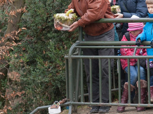 Ředitel ZOO Brno Martin Hovorka, foto: Brněnská Drbna