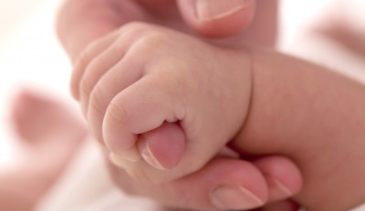 Ilustrační foto, foto: Free Digital Pictures