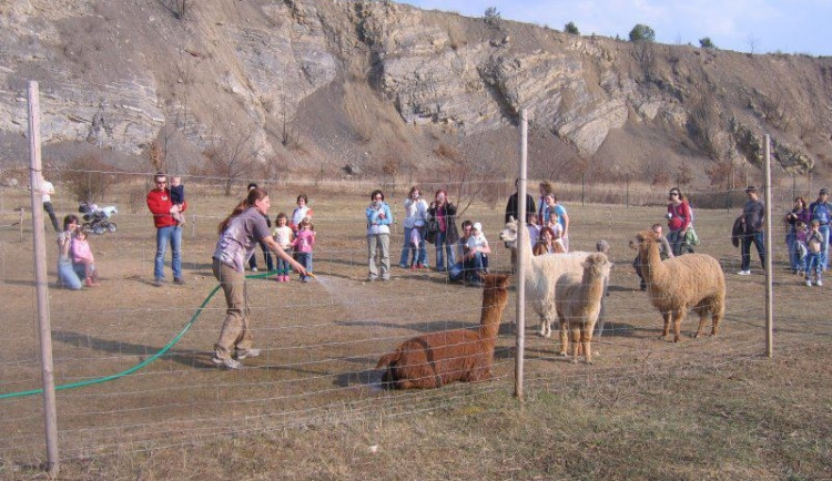 Brno Hády - Lamacentrum, foto: Lamacentrum.cz