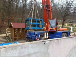 Stěhování lachtanů, foto: Brněnská Drbna, David Zouhar