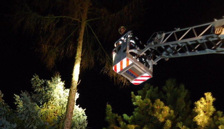 Hasiči na Štědrý den také sundávali kočky ze stromů, foto: hasiči