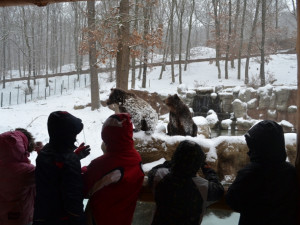 Ilustrační foto, foto: Brněnská Drbna, Jiří Prýgl