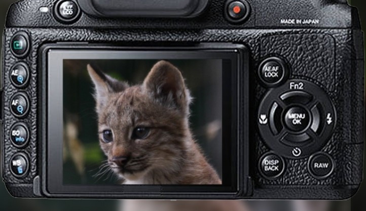 Z vítězných fotek zoo vznikne kalendář, foto: Zoo Brno