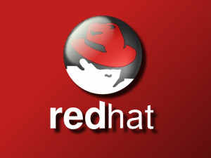 Královopolský Red Hat Czech vydělává a nabírá zaměstnance