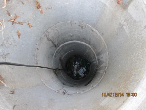 Uvězněnou kočku vyprošťovali hasiči i strážníci, foto: Městská policie Brno