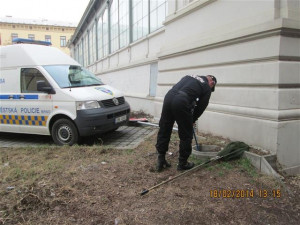 Uvězněnou kočku vyprošťovali hasiči i strážníci, foto: Městská policie Brno