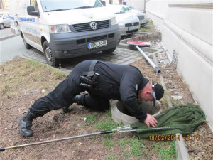 Uvězněnou kočku vyprošťovali hasiči i strážníci, foto: Městská policie Brno