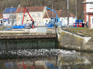 Hasiči likvidovali ropnou látku na řece Svratce, foto: hasiči JMK