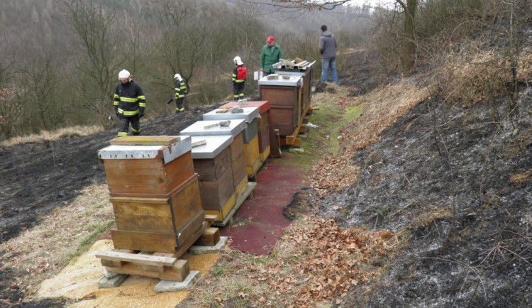Hasiči zasahovali při úterním požáru trávy ve Ždánicích na Hodonínsku, foto: hasiči JMK