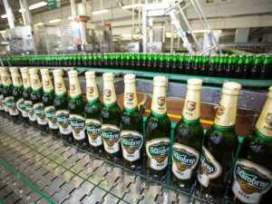 První stáčení Draka, foto: Starobrno