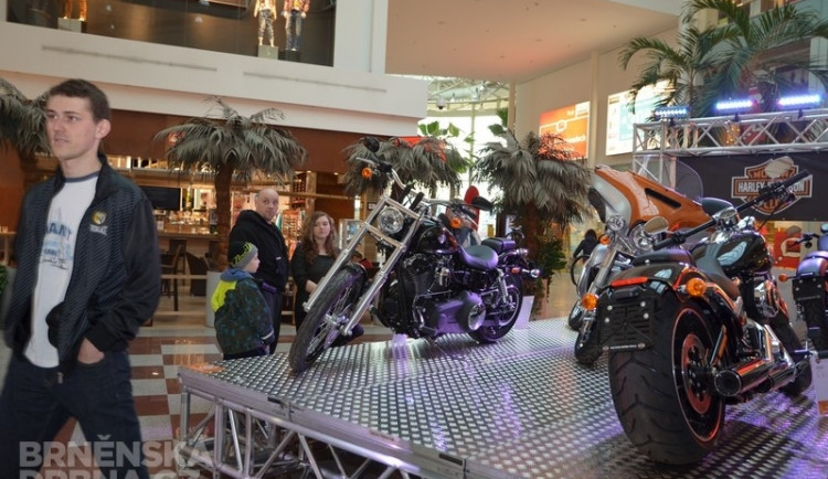 Na Motosalonu nebude chybět ani značka Harley Davidson, foto: Brněnská Drbna, Hana Mikešová