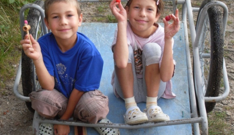 Veřejná sbírka pro děti, jejichž matka byla zavražděna