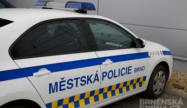 Ilustrační foto, foto: Brněnská Drbna, David Zouhar